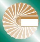 Ditronics Financial Services